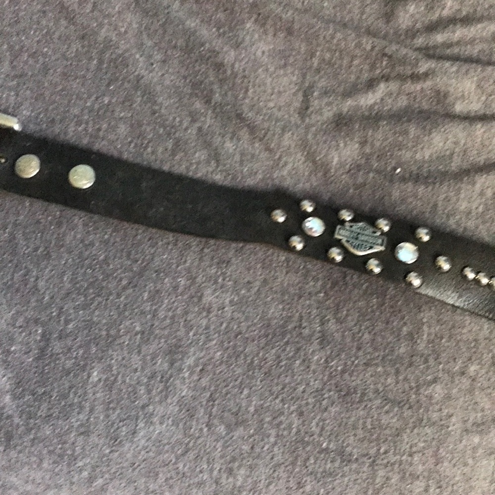 Harley Davidson women’s studded belt
